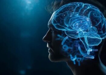 gutbrain3