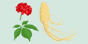 koreanredginseng