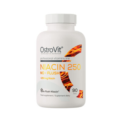 Niacin 250 NO-FLUSH - OstroVit 90 δισκία 9 Niacin 250 NO-FLUSH - OstroVit 90 δισκία