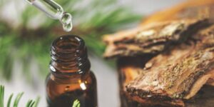 pine bark extract