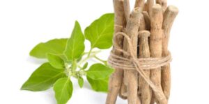 rhodiola ashwagandha