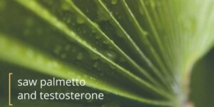 sawpalmettotestosterone